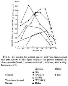 The Effect of pH on Onion Mitosis Rate